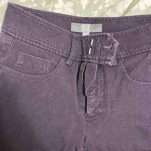Pantalon Bourgogne/mauve Tristan